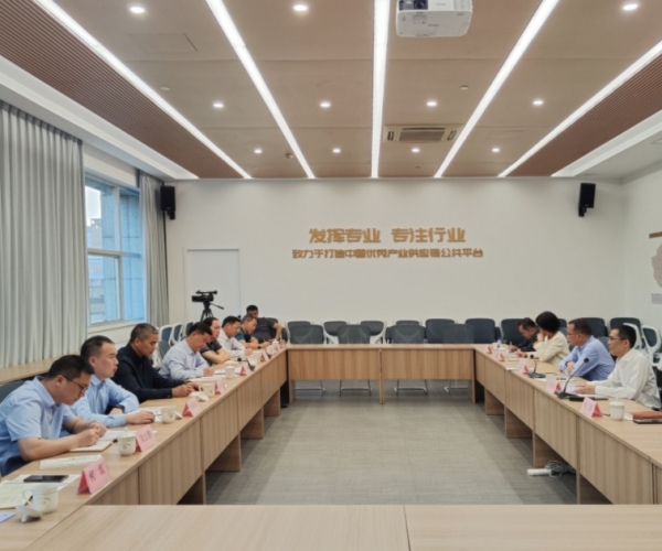 ?廣西河池市委書記秦春成領導一行蒞臨調(diào)研